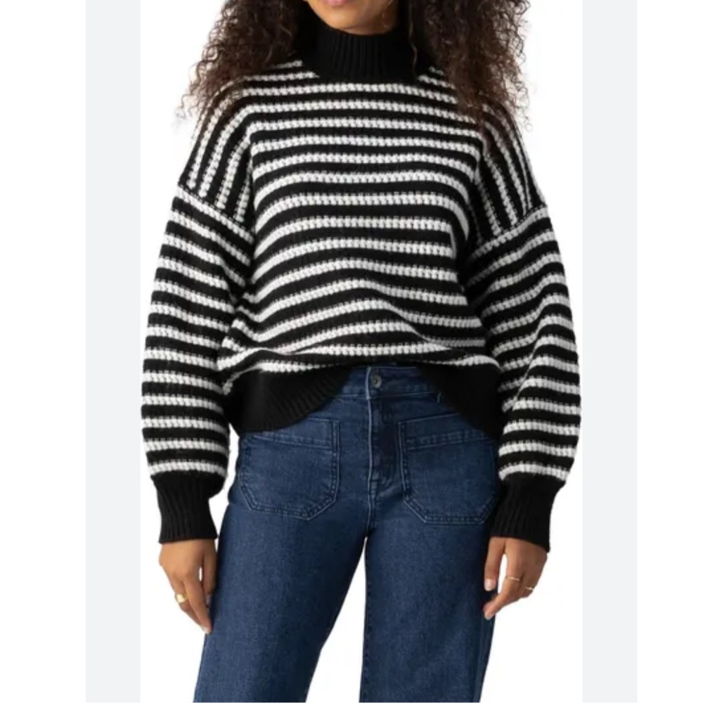 Showpo Chunky Knit Striped Turtleneck Sweater